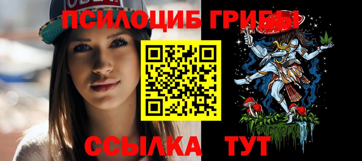 Псилоцибиновые грибы Cubensis  Вход с VPN  Сосновоборск 