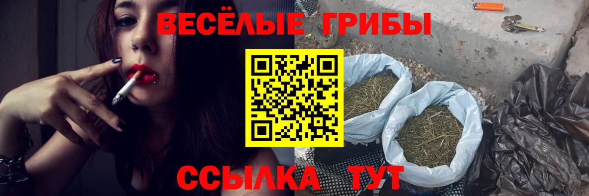 Галлюциногенные грибы Psilocybe Сосновоборск